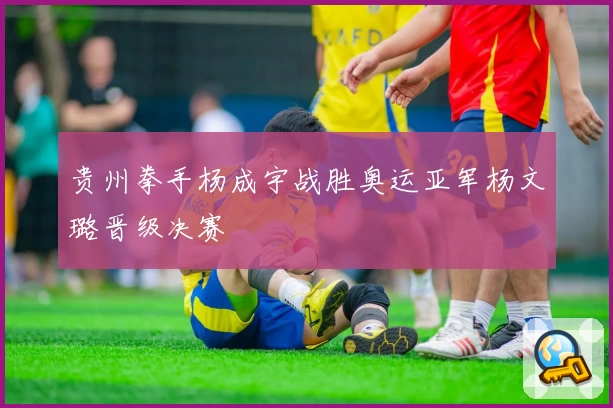 贵州拳手杨成宇战胜奥运亚军杨文璐晋级决赛