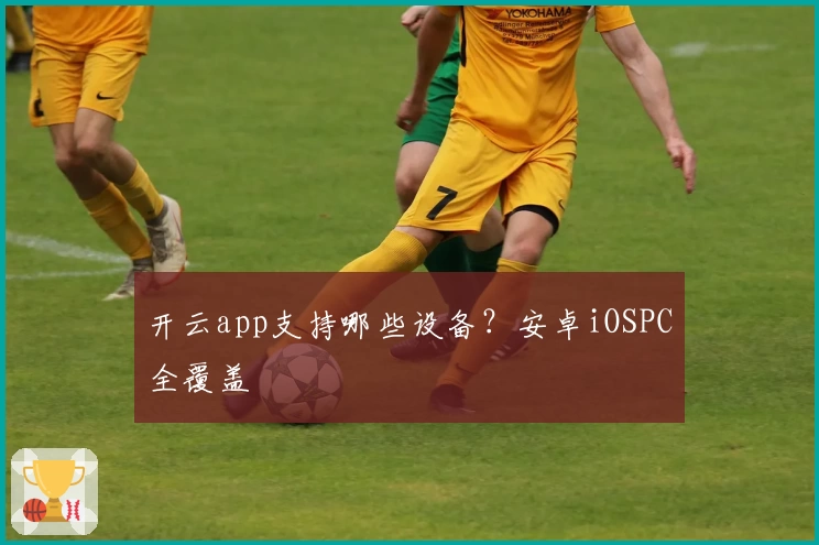 开云app支持哪些设备？安卓iOSPC全覆盖